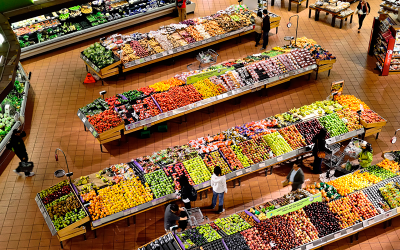 EVODATA 300 with wireless probes for supermarkets